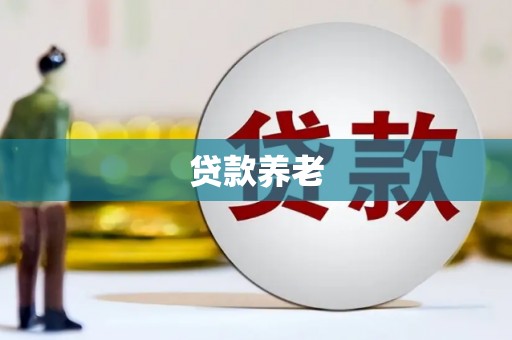 和静贷款养老