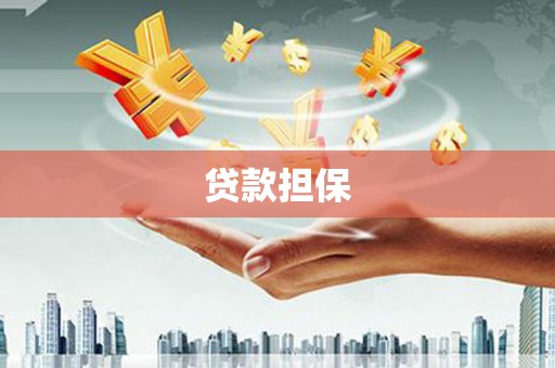 和静贷款担保