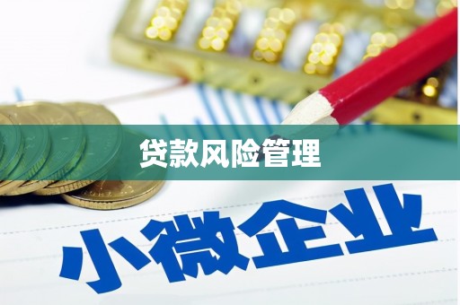 和静贷款风险管理