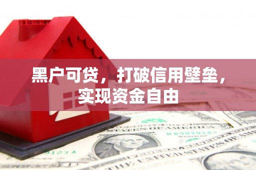 和静黑户可贷，打破信用壁垒，实现资金自由