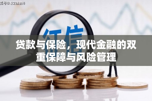 和静贷款与保险，现代金融的双重保障与风险管理