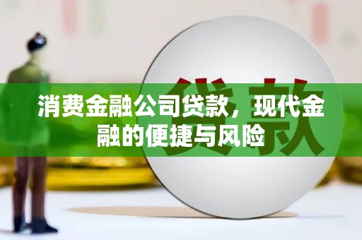 和静消费金融公司贷款，现代金融的便捷与风险