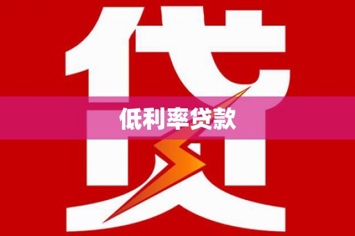 和静低利率贷款