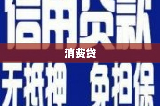 和静消费贷