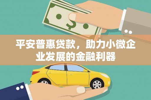 和静平安普惠贷款，助力小微企业发展的金融利器