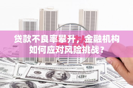 和静贷款不良率攀升，金融机构如何应对风险挑战？
