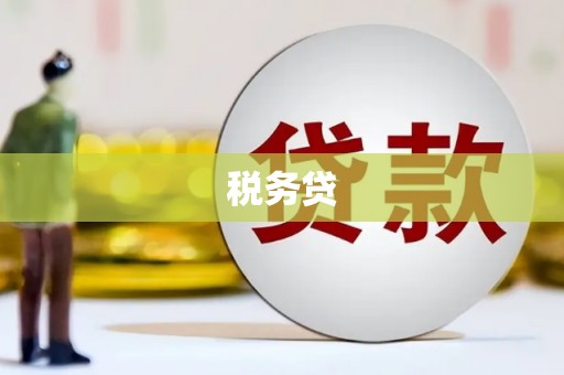 和静税务贷