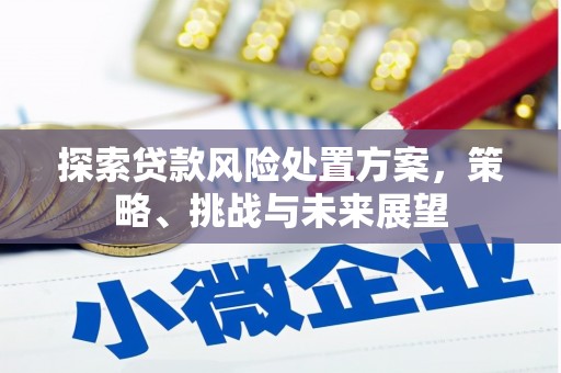 和静探索贷款风险处置方案，策略、挑战与未来展望
