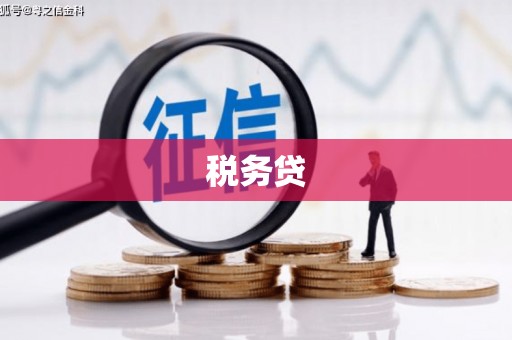 和静税务贷