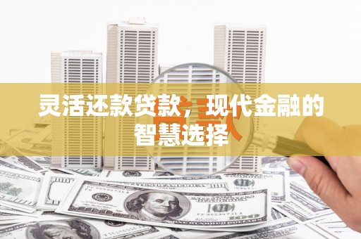 和静灵活还款贷款，现代金融的智慧选择