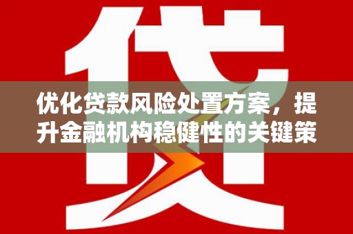 和静优化贷款风险处置方案，提升金融机构稳健性的关键策略