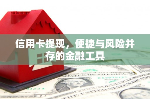 和静信用卡提现，便捷与风险并存的金融工具