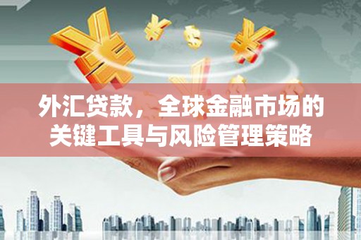 和静外汇贷款，全球金融市场的关键工具与风险管理策略