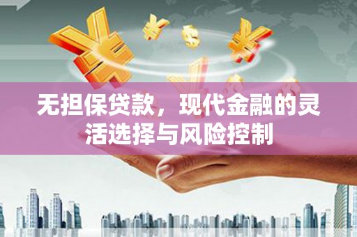 和静无担保贷款，现代金融的灵活选择与风险控制