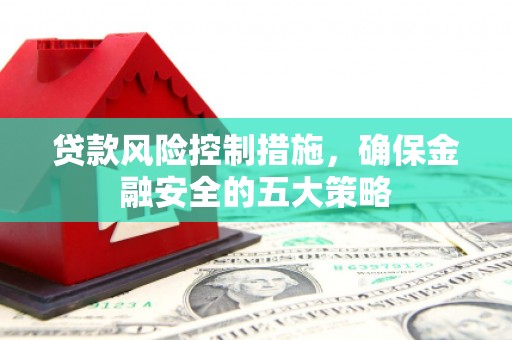 和静贷款风险控制措施，确保金融安全的五大策略