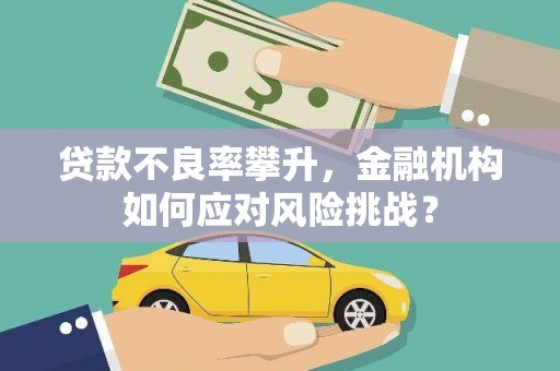 和静贷款不良率攀升，金融机构如何应对风险挑战？