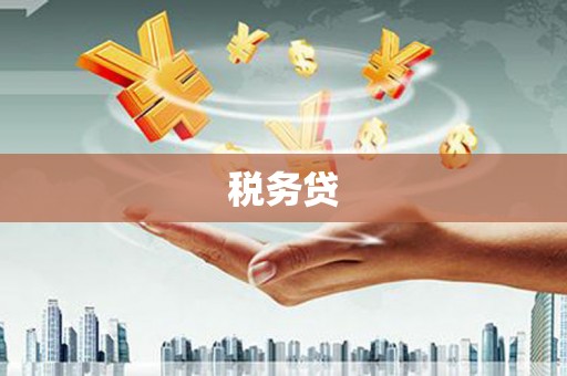 和静税务贷
