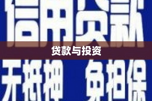 和静贷款与投资