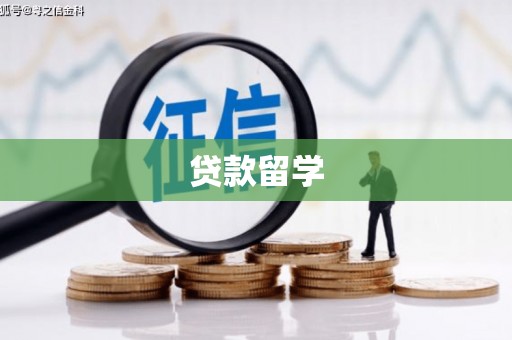 和静贷款留学