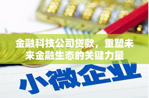 和静金融科技公司贷款，重塑未来金融生态的关键力量