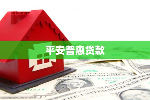 和静平安普惠贷款