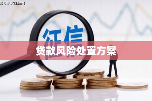 和静贷款风险处置方案