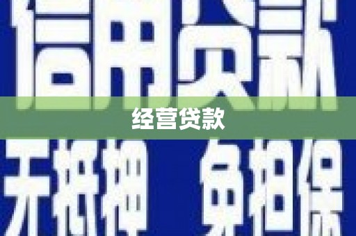 和静经营贷款