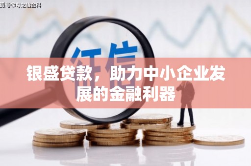 和静银盛贷款，助力中小企业发展的金融利器