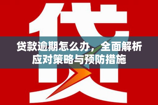 和静贷款逾期怎么办，全面解析应对策略与预防措施