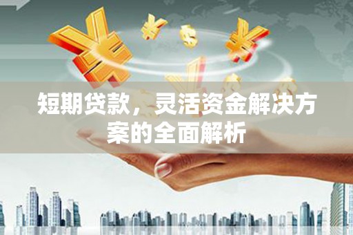 和静短期贷款，灵活资金解决方案的全面解析