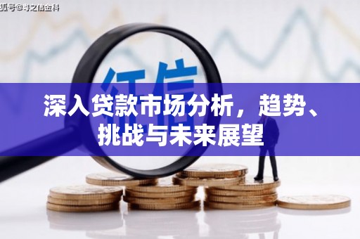 和静深入贷款市场分析，趋势、挑战与未来展望