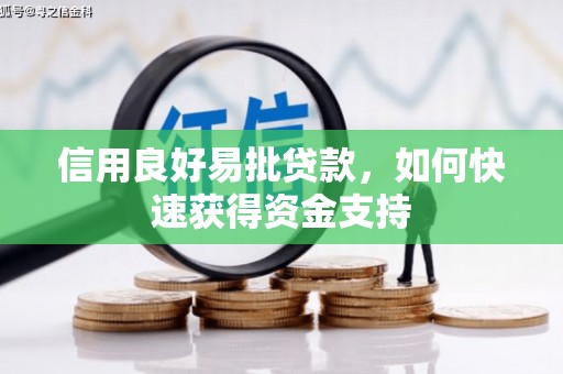 和静信用良好易批贷款，如何快速获得资金支持