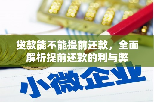 和静贷款能不能提前还款，全面解析提前还款的利与弊