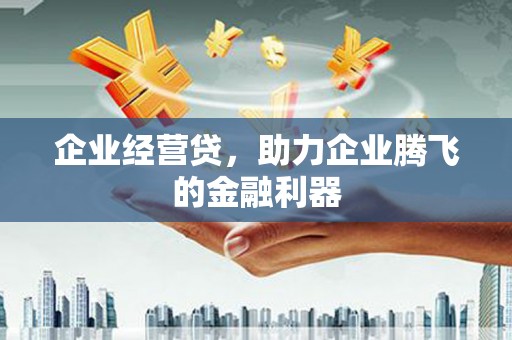和静企业经营贷，助力企业腾飞的金融利器