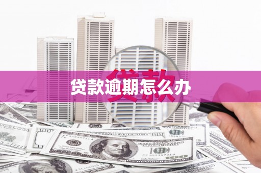 和静贷款逾期怎么办