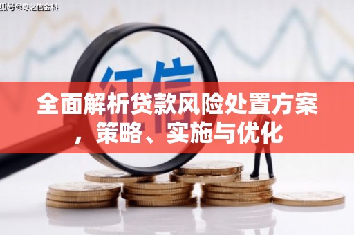 和静全面解析贷款风险处置方案，策略、实施与优化