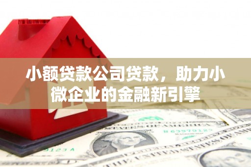 和静小额贷款公司贷款，助力小微企业的金融新引擎
