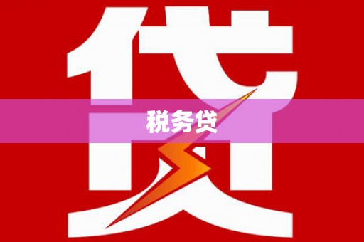 和静税务贷