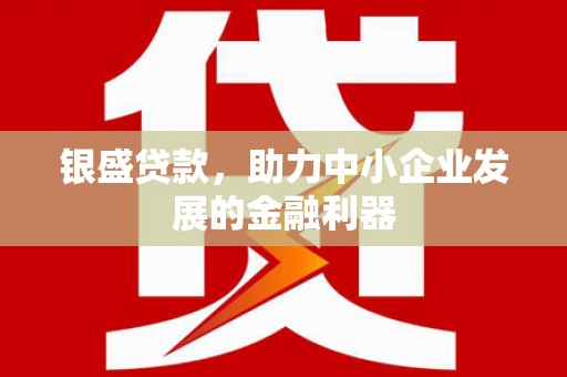和静银盛贷款，助力中小企业发展的金融利器