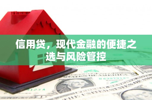 和静信用贷，现代金融的便捷之选与风险管控