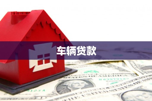 和静车辆贷款
