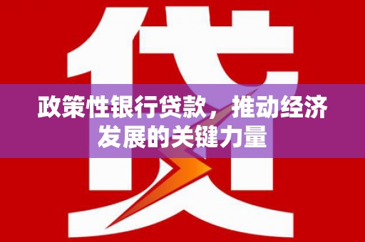 和静政策性银行贷款，推动经济发展的关键力量