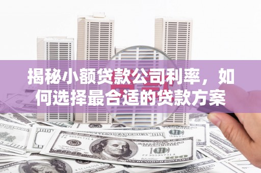 和静揭秘小额贷款公司利率，如何选择最合适的贷款方案