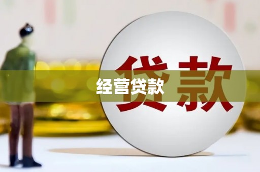 和静经营贷款