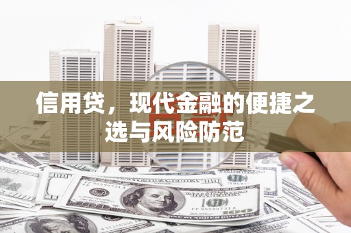 和静信用贷，现代金融的便捷之选与风险防范