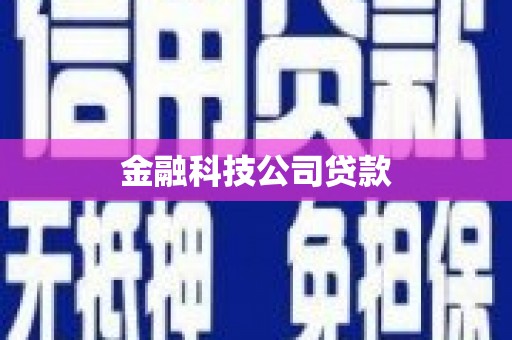 和静金融科技公司贷款