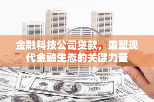 和静金融科技公司贷款，重塑现代金融生态的关键力量