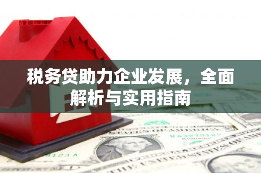 和静税务贷助力企业发展，全面解析与实用指南
