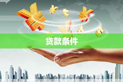 和静贷款条件
