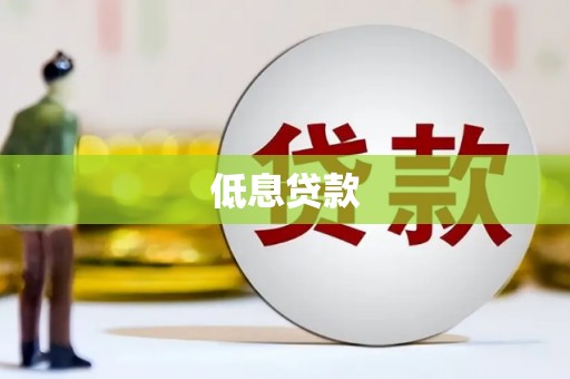 和静低息贷款